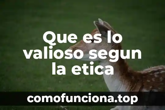 Qué es una consideración ética definición 8 Que es lo valioso segun la etica