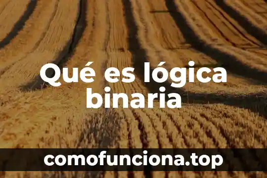 Que es inteligencia lógica 3 Qué es lógica binaria