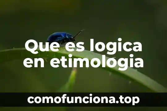 Que es la etimología de los cuidados de enfermeria 6 Que es logica en etimologia