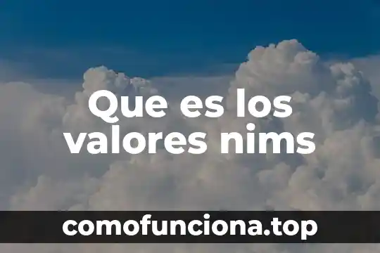 Que es sistemas totalitarios 5 Que es los valores nims