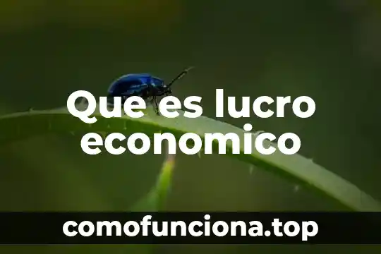 Que es una sociedad con fines de lucro 5 Que es lucro economico