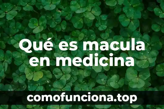 Que es gastroclisis en medicina 7 Qué es macula en medicina
