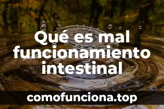 Que es un semaforo y funcionamiento 4 Qué es mal funcionamiento intestinal