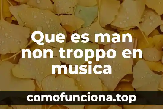 Que es la música en general 6 Que es man non troppo en musica