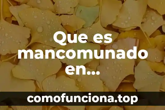 Qué es concepto de noción contabilidad 5 Que es mancomunado en contabilidad