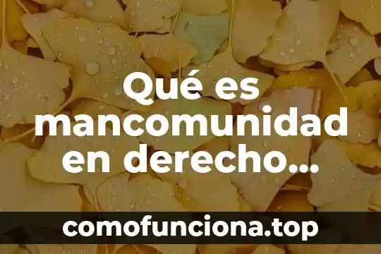 Que es una sociedad mercantil asociacion en participacion 8 Qué es mancomunidad en derecho mercantil