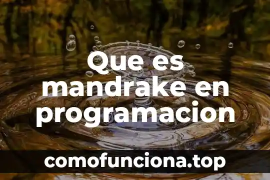 Que es y su funcion disco duro 4 Que es mandrake en programacion