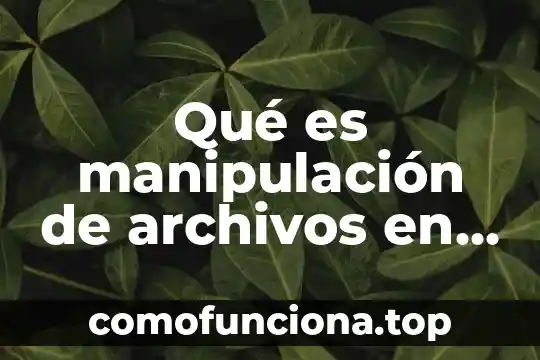 Investigar que es la manipulación genética y el medio ambiente 3 Qué es manipulación de archivos en C++