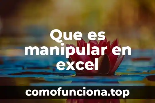 Que es una lista de validacion en excel 6 Que es manipular en excel
