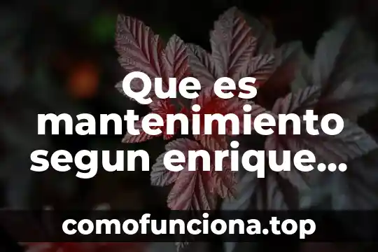 Qué es un paradigma educativo según k 4 Que es mantenimiento segun enrique bouncen