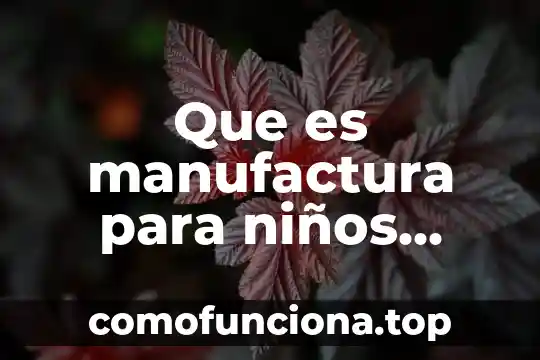 Que es diagrama tecnico 5 Que es manufactura para niños diapositivas