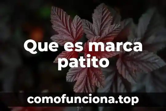 Nombre de la marca que es una equis 6 Que es marca patito