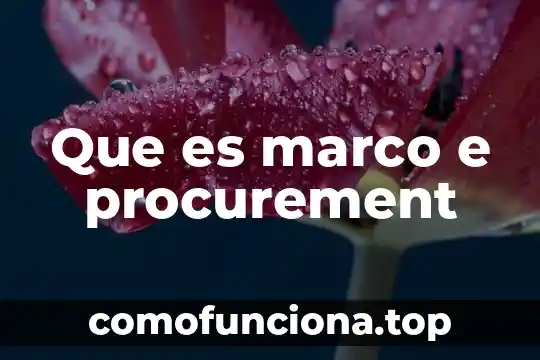 Que es el elaborar del marco de referencia 4 Que es marco e procurement