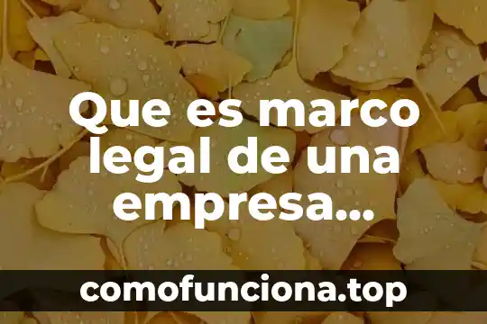 Qué es el marco mundial de una tesis 5 Que es marco legal de una empresa mexico