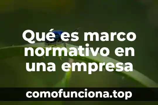 Qué es el marco mundial de una tesis 6 Qué es marco normativo en una empresa