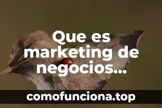 Que es lo politica en relaciones internacionales 8 Que es marketing de negocios internacionales
