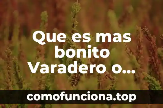 Que es concepto bonito 3 Que es mas bonito Varadero o Playa Pilar