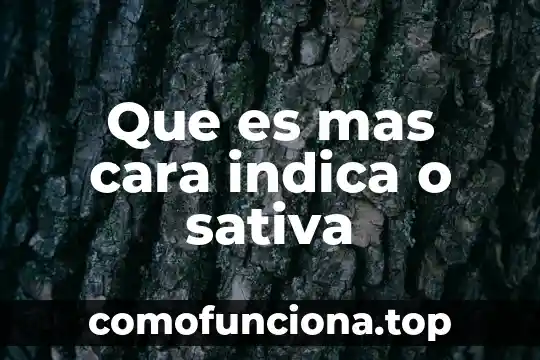 Que es la justicia y lo mas importante 5 Que es mas cara indica o sativa