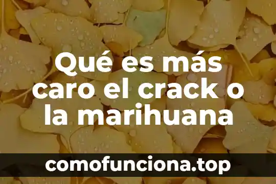 Que es el pensamiento de caracter educativo 7 Qué es más caro el crack o la marihuana