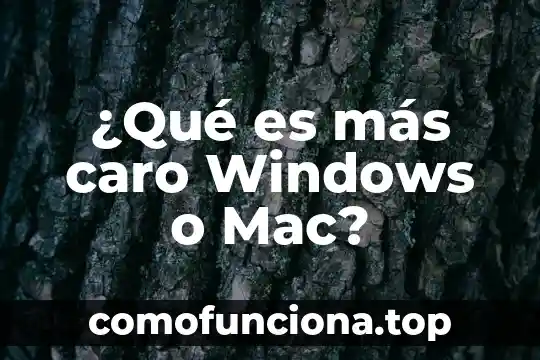 Que es mas caro el onix o el granito 4 ¿Qué es más caro Windows o Mac?