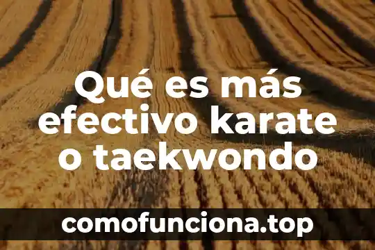 Que es la justicia y lo mas importante 8 Qué es más efectivo karate o taekwondo