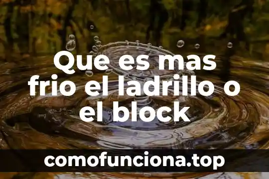 Qué es lo más consumido por la sociedad 8 Que es mas frio el ladrillo o el block