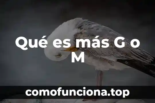 Que es la mas diva significa 4 Qué es más G o M