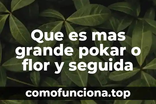 Que es mas grande un mg o un kb 4 Que es mas grande pokar o flor y seguida
