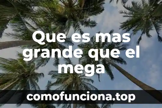 Que es mas grande pokar o flor y seguida 3 Que es mas grande que el mega