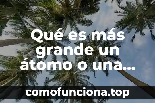 Que es significado de celula 5 Qué es más grande un átomo o una célula