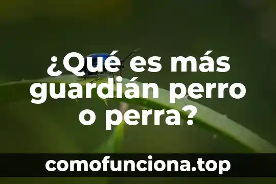 Que es lo mas interesante de un perro 3 ¿Qué es más guardián perro o perra?