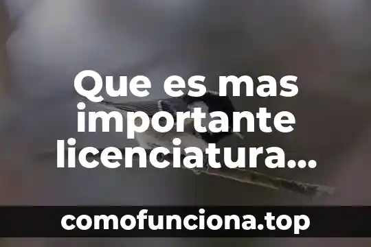 Arquitectura que es licenciatura o ingenieria 5 Que es mas importante licenciatura doctorada o maestria