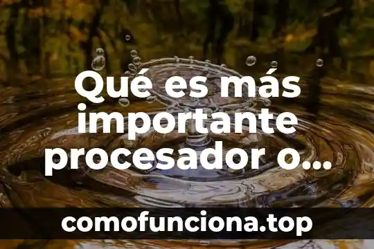 Qué es lo más bonito de una estrella 4 Qué es más importante procesador o tarjeta gráfica