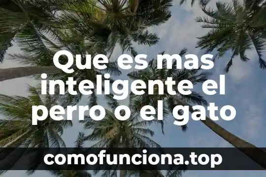 Que es lo mas interesante de un perro 7 Que es mas inteligente el perro o el gato