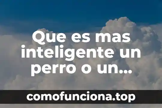 Que es lo mas interesante de un perro 4 Que es mas inteligente un perro o un caballo