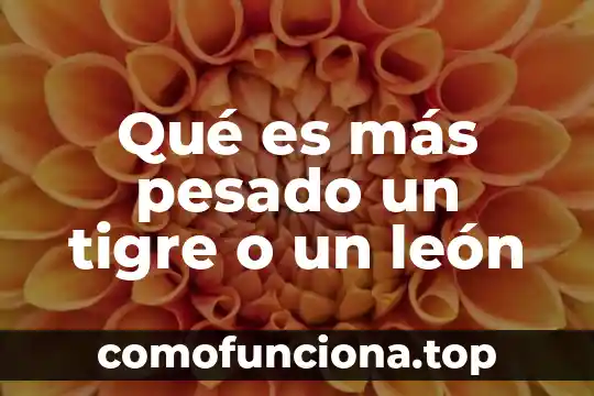 Que es la justicia y lo mas importante 7 Qué es más pesado un tigre o un león