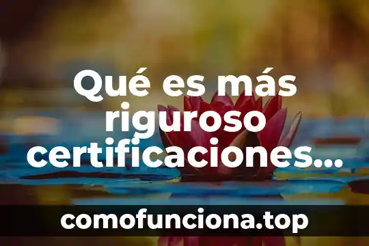 Que es la justicia de mexico 7 Qué es más riguroso certificaciones o iniciativas globales