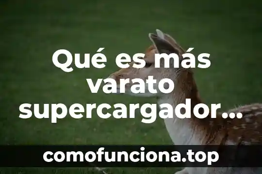 Que es la justicia y lo mas importante 4 Qué es más varato supercargador Vortech o Eaton M90