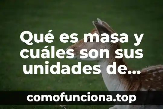 Que es un color frio y cuales son 8 Qué es masa y cuáles son sus unidades de medida