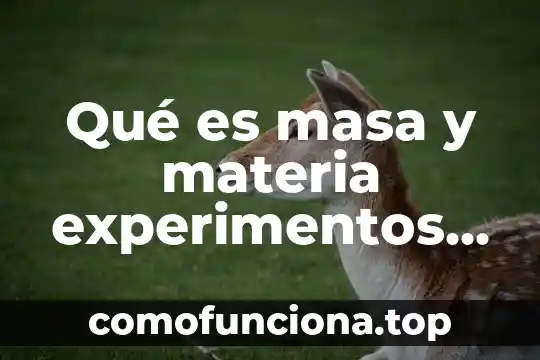 Que es la masa en la tab 8 Qué es masa y materia experimentos para enseñar