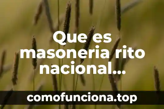 Que es el movimiento zapatista de liberacion nacional 4 Que es masoneria rito nacional mexicana