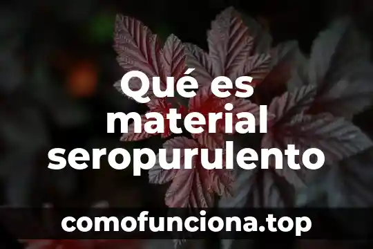 Que es una solicitude material 6 Qué es material seropurulento