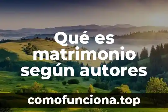 Qué es principio según autores 3 Qué es matrimonio según autores