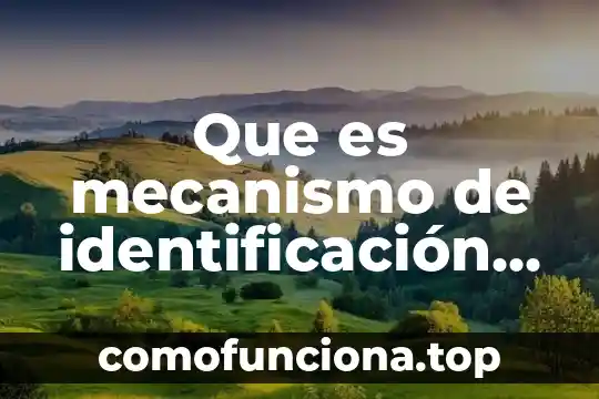 Qué es el número de identificación vehicular NIV 4 Que es mecanismo de identificación de sistemas