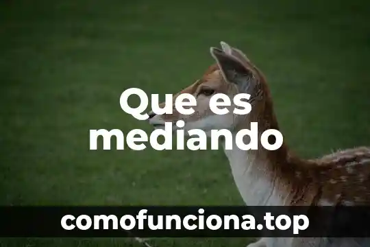 Qué es el tallo de una planta 6 Que es mediando