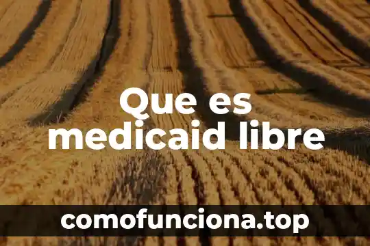 Que es tiempo libre en la sociedad 3 Que es medicaid libre