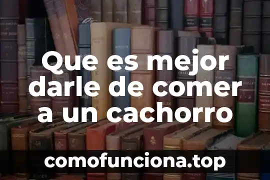 Que es necesario darle mantenimiento en una computadora 5 Que es mejor darle de comer a un cachorro