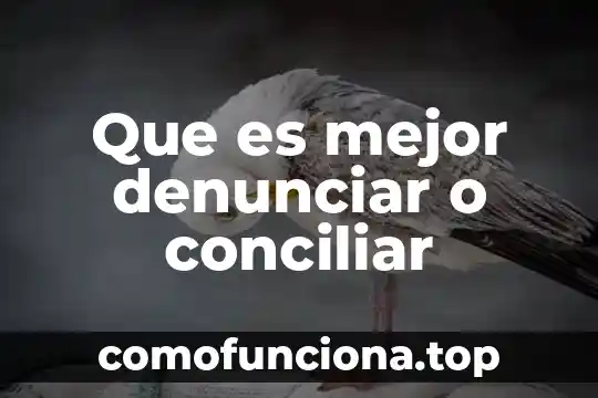 Que es mejor la ibero o el tec arquitectura 3 Que es mejor denunciar o conciliar