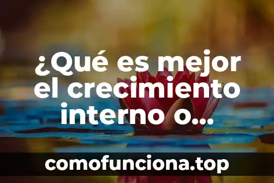 Que es el conocimiento externo e interno 3 ¿Qué es mejor el crecimiento interno o externo?