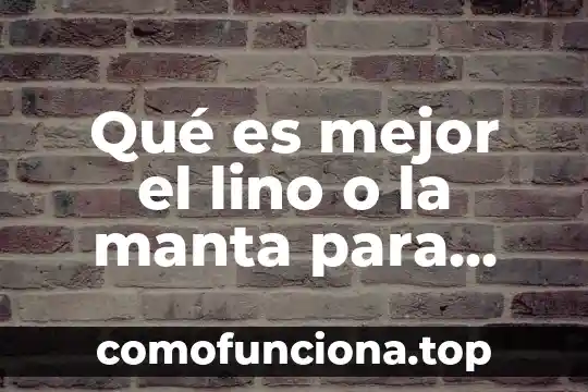 Que es pintar en arte 4 Qué es mejor el lino o la manta para pintar